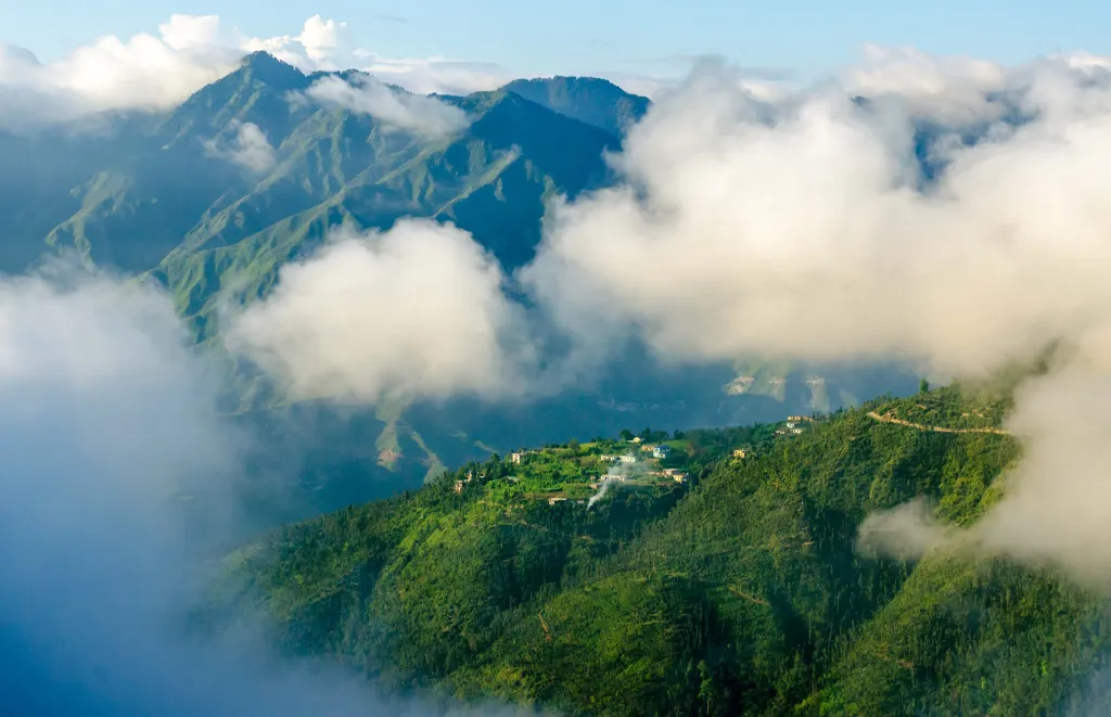 KANATAL - 8 NALI